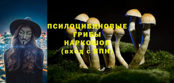 шишки Козельск