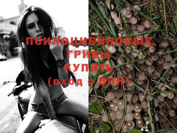 круглые Аркадак