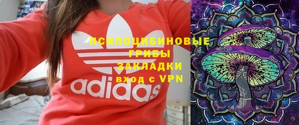 круглые Аркадак