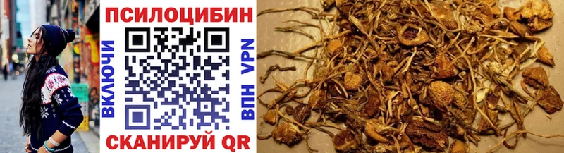 Псилоцибиновые грибы прущие грибы  Афипский 